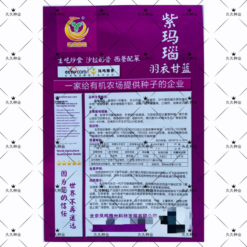 紫玛瑙羽衣甘蓝种子春秋四季播大田蔬菜种孑凉拌沙拉蔬菜种籽