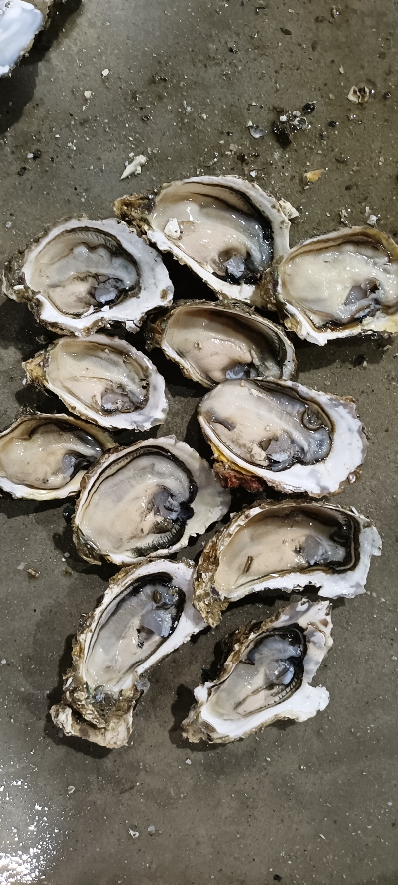 福建生蚝，三倍体一口蚝，到手鲜活，坏了包赔