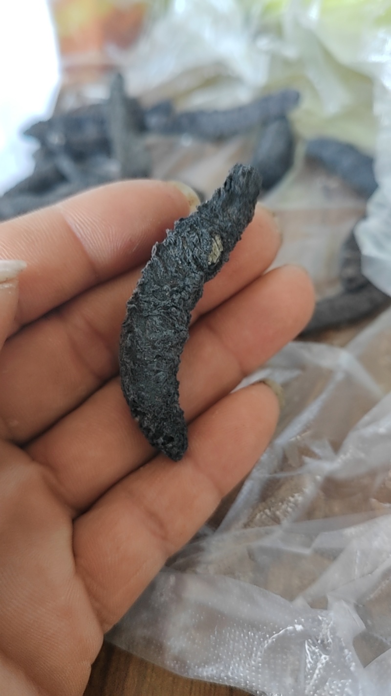干海参进口海参刺秃参干度好泡发高山东大连福建广东发货