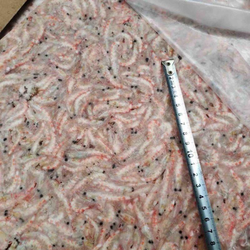 磷虾