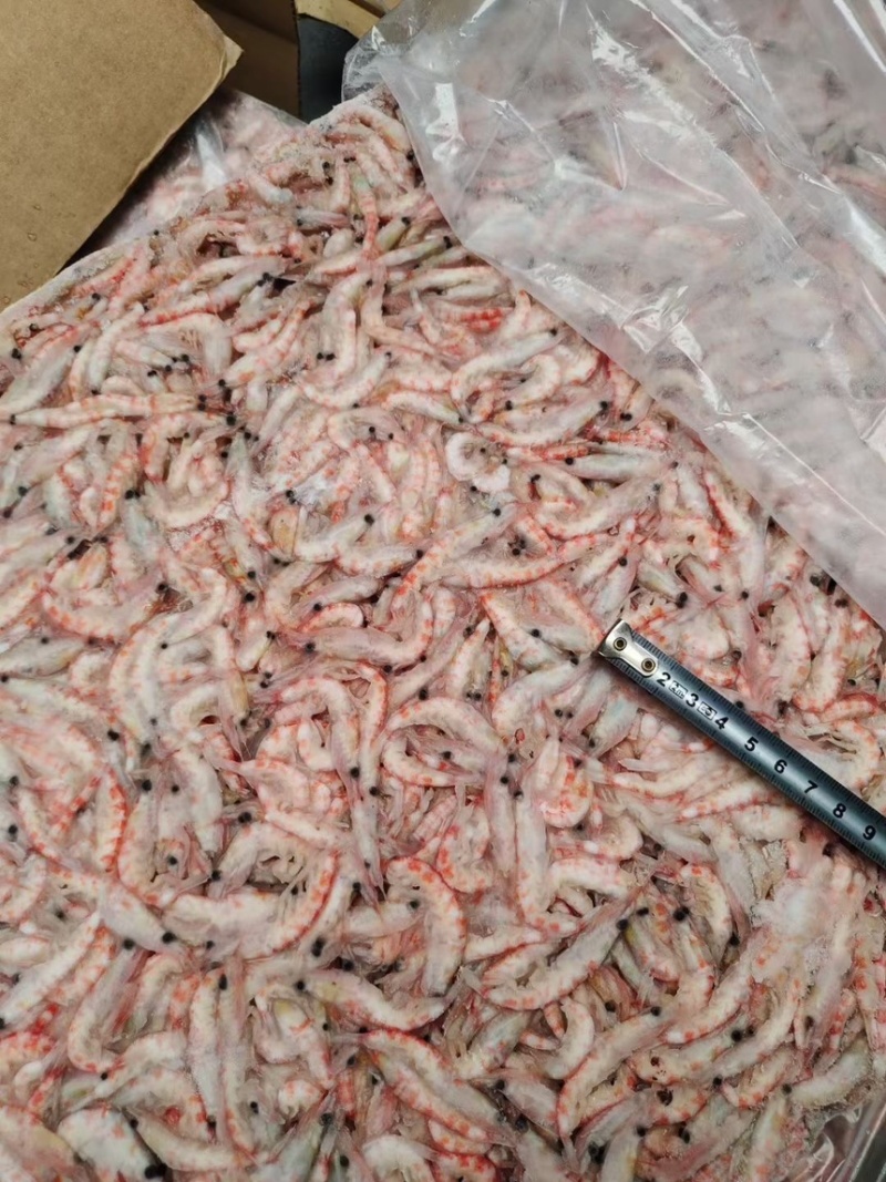 磷虾