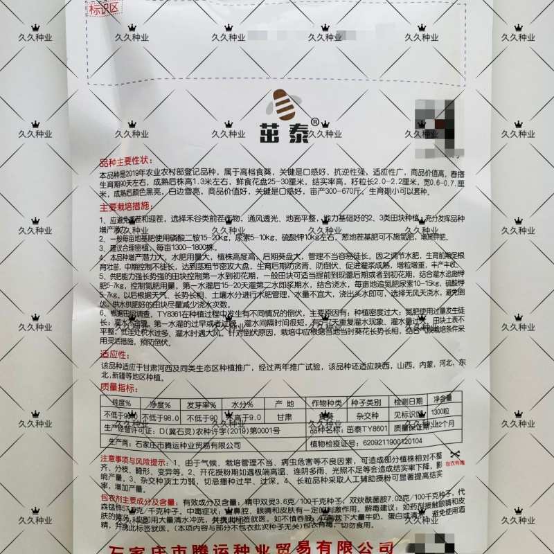 茁泰TY8601矮杂交食葵矮大头种子大粒食用向日葵种子