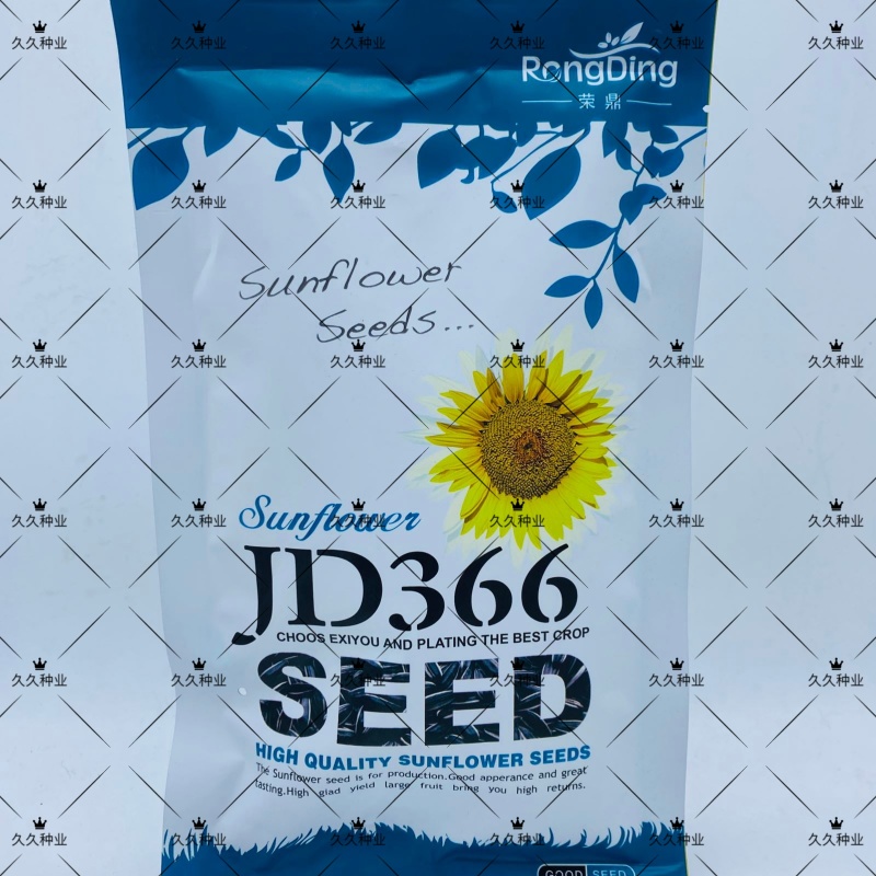 荣鼎JD366油葵种子向日葵偏晚熟籽粒口感香甜高产高抗病