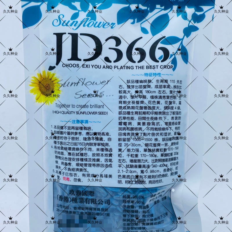 荣鼎JD366油葵种子向日葵偏晚熟籽粒口感香甜高产高抗病