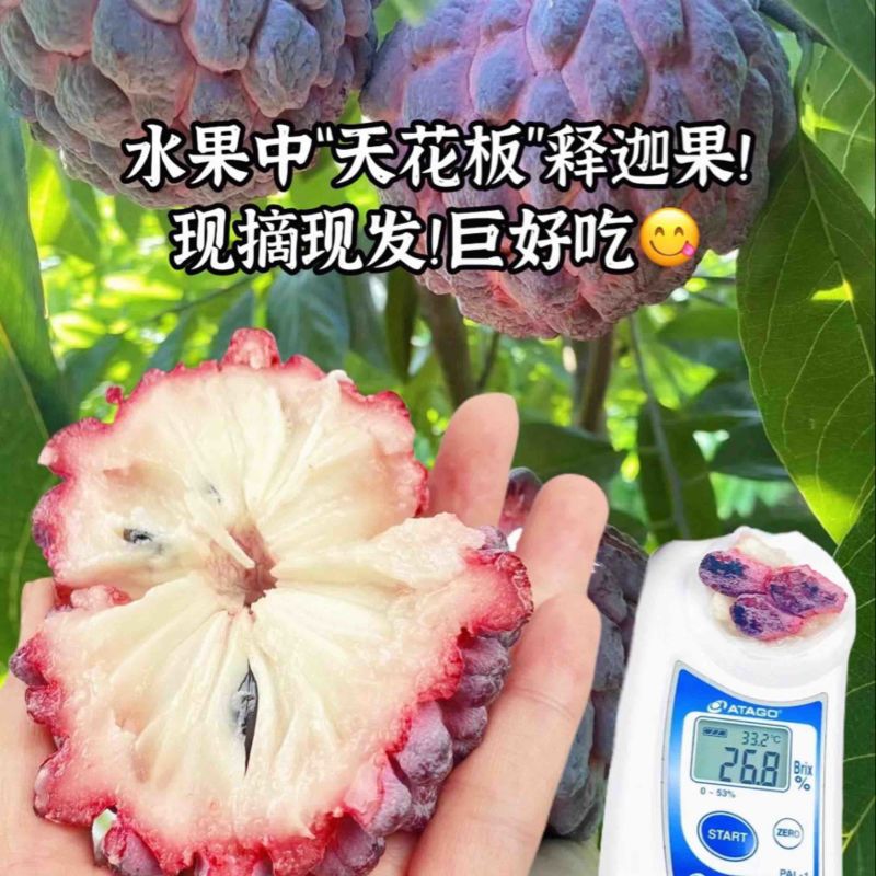 玫瑰释迦果应季水果软糯香甜