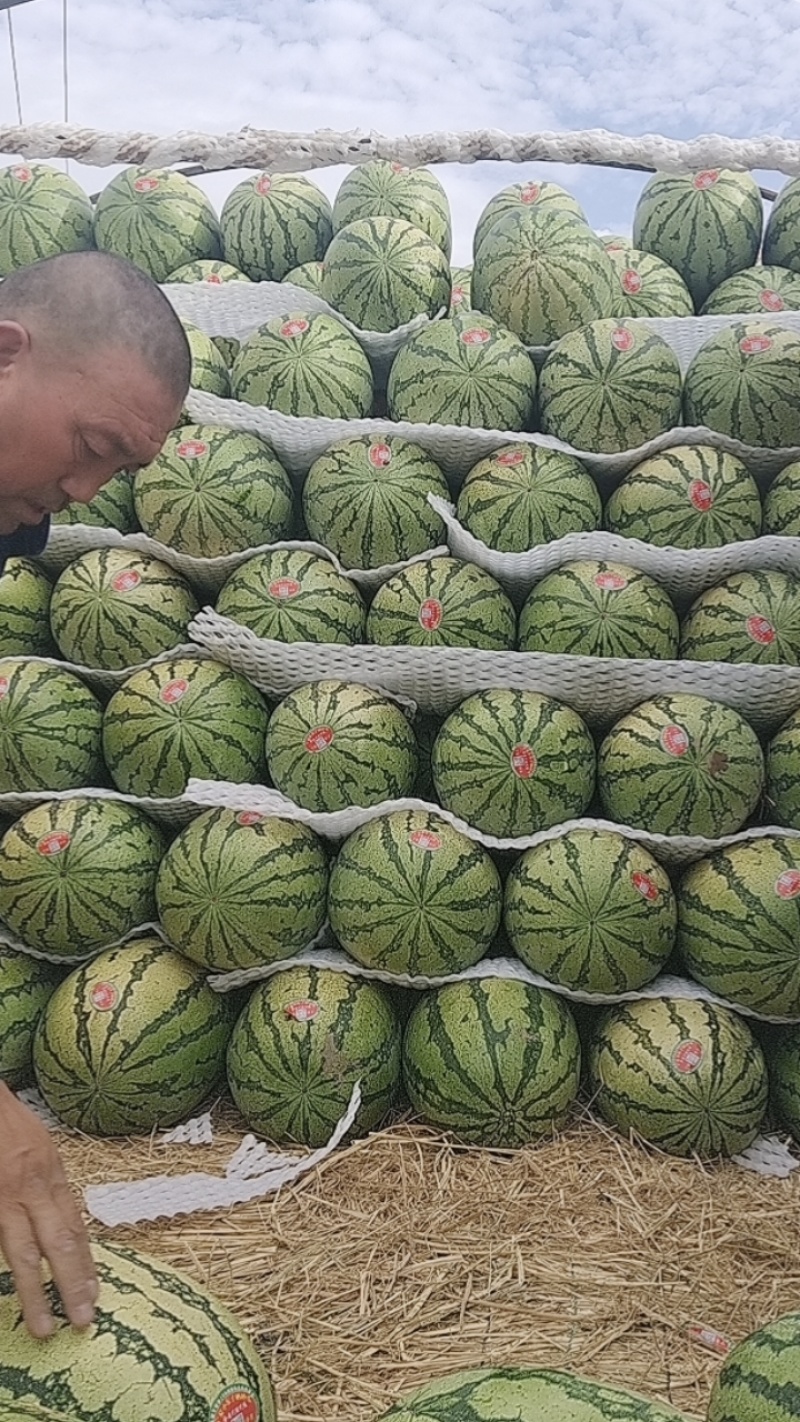 宁夏正宗石头瓜大红瓤小剥皮产地直发一手货源欢迎采够