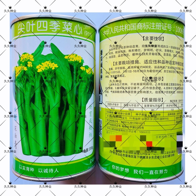 尖叶四季菜心种子甜菜心籽青菜种籽菜苔农家盆栽阳台蔬菜