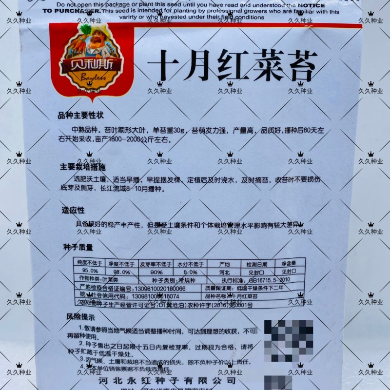 十月红菜台种子早熟高产过冬蔬菜春季秋季种植阳台抗病寒种籽