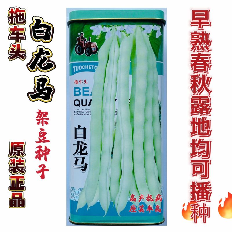拖车头白龙马架豆四季豆种子