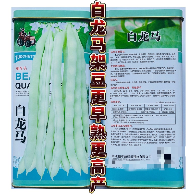 拖车头白龙马架豆四季豆种子