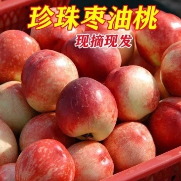 珍珠枣油桃