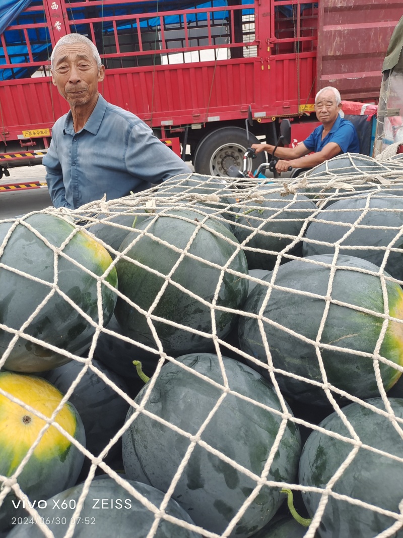 黑皮无籽西瓜7斤打底一茬在八成以上熟产地湖北钟祥