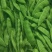 精品吉林油豆角，口感好，条型正，颜色绿，无公害蔬菜