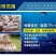 新鲜鱼粉，源自海洋，营养丰富，健康美味，助您享受美食盛宴！