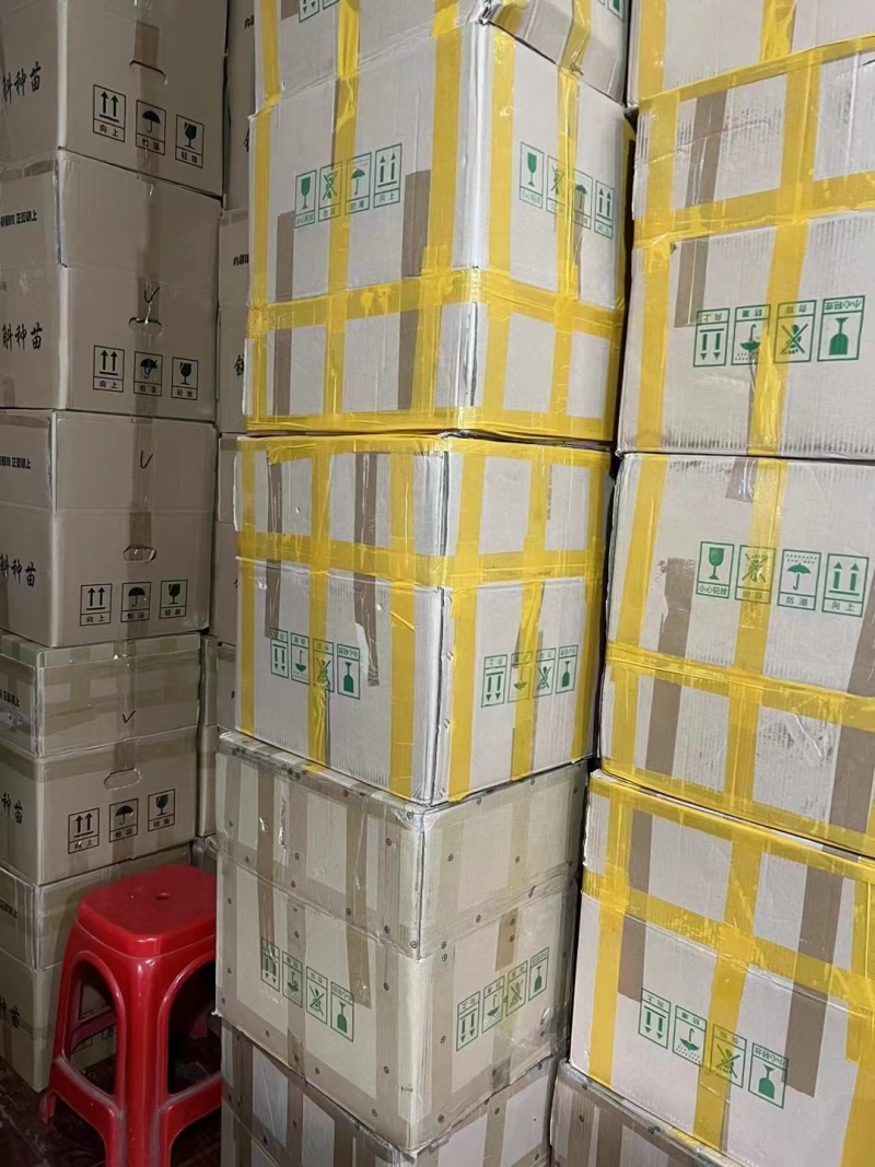 铁皮石斛花云南干货1斤起包邮量大优惠