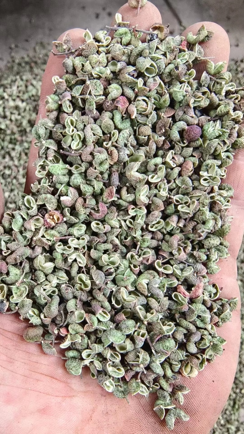 陕西韩城青花椒，青皮净货，源头种植直供，官方保障，欢迎咨