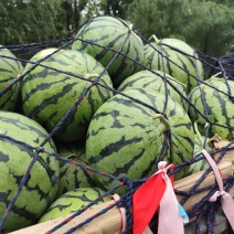 京欣西瓜，玉麒麟西瓜，品质好，皮毛靓，口感好。货发全国