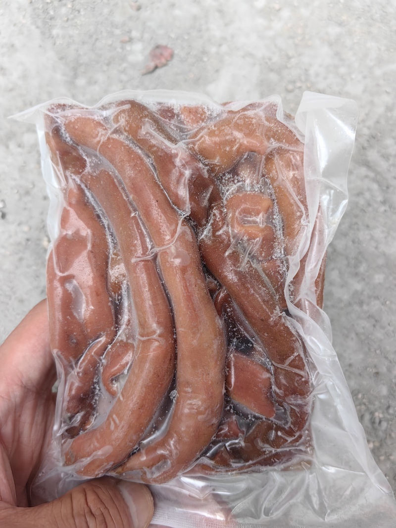 活冻海肠皮！