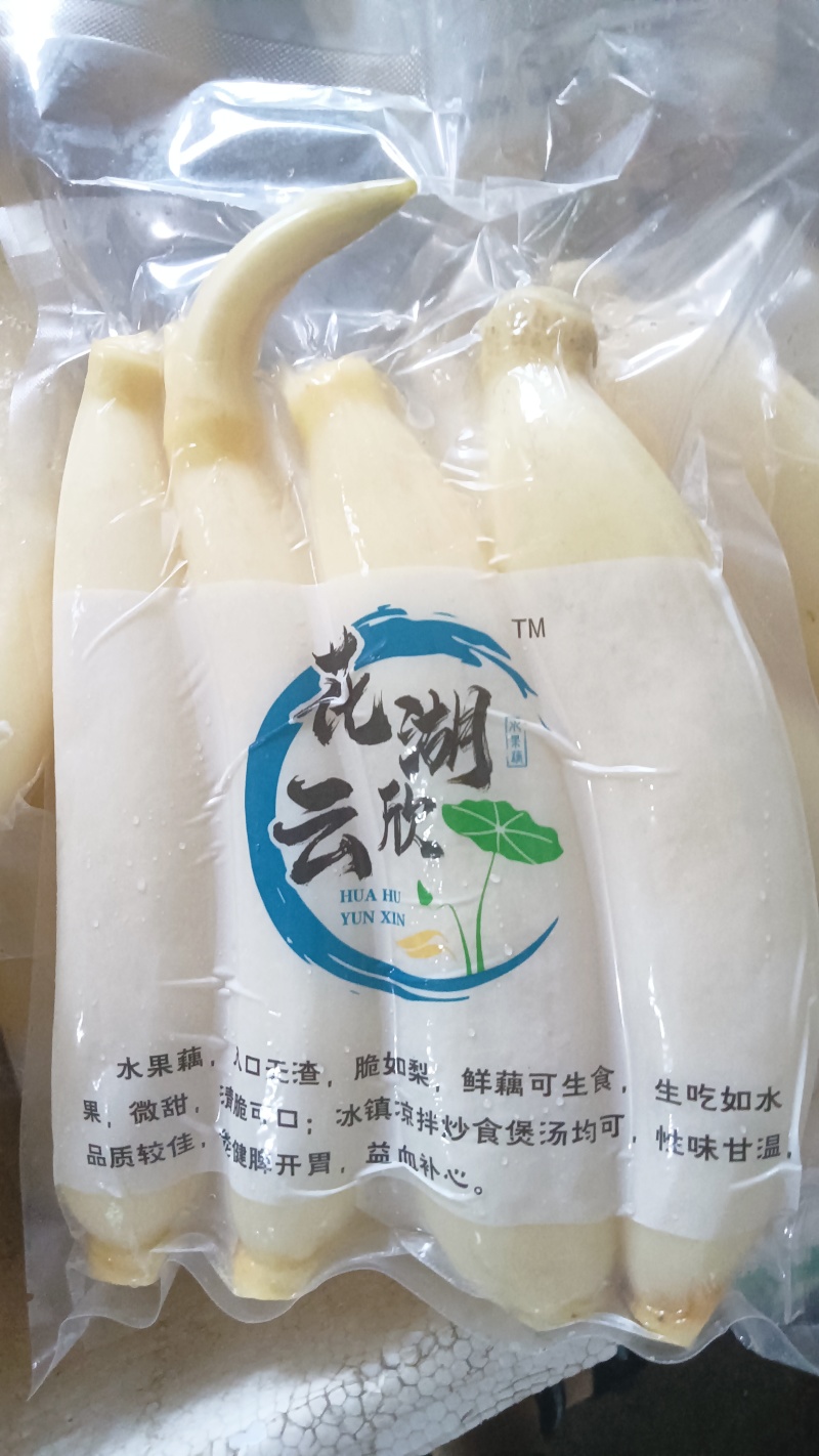 水果藕大量供应，生吃脆甜，入口无渣，当天采摘发货。