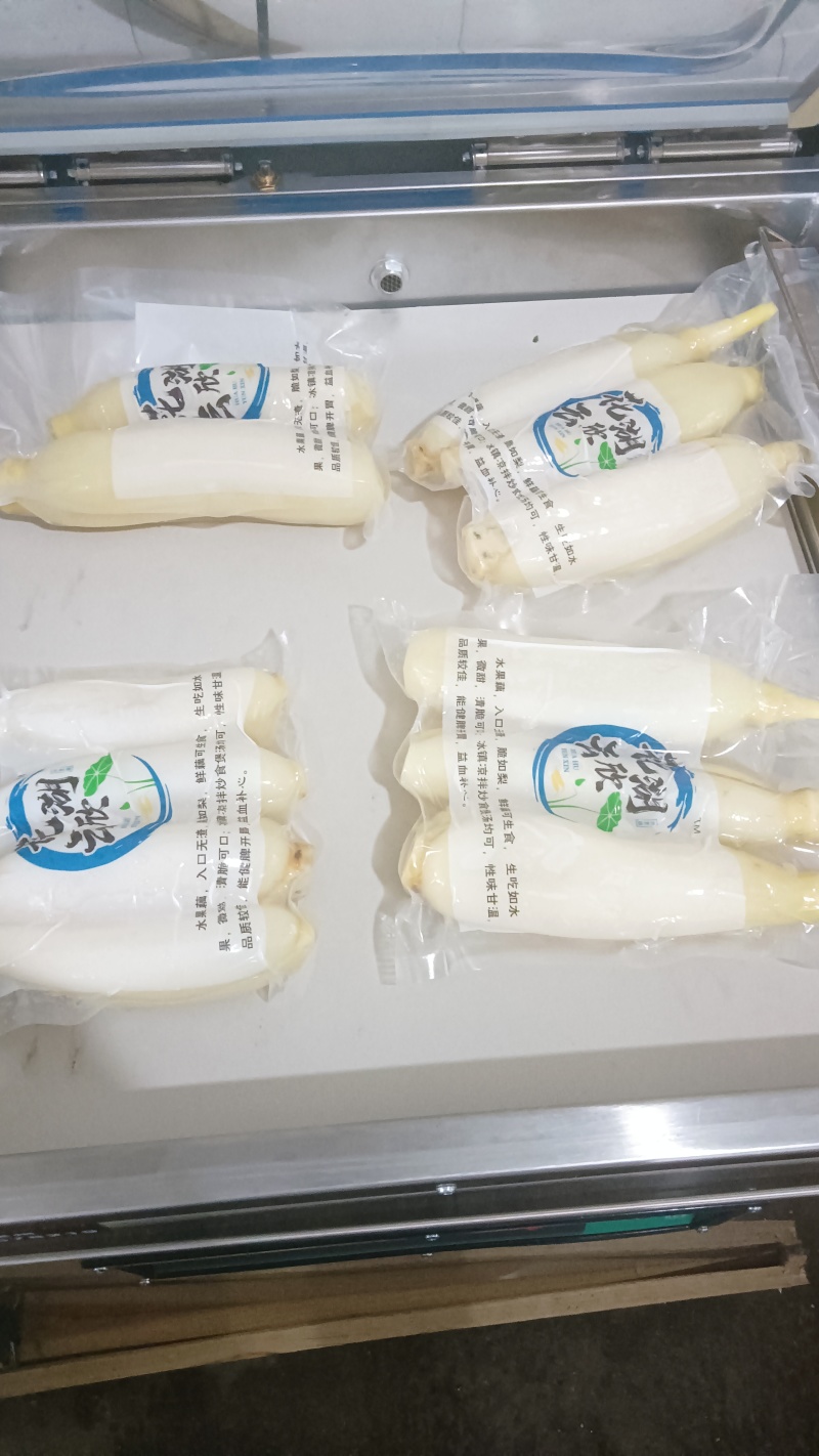 水果藕大量供应，生吃脆甜，入口无渣，当天采摘发货。