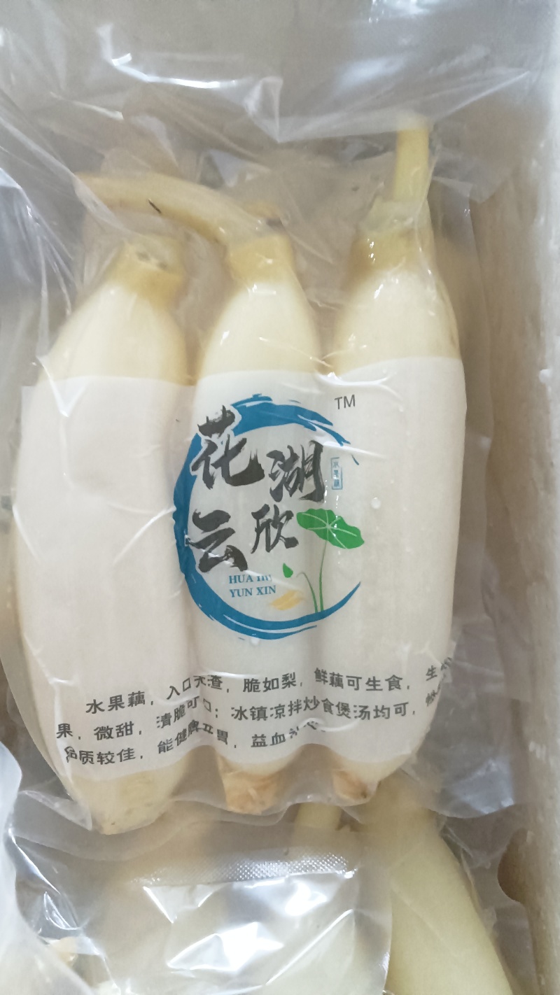 水果藕大量供应，生吃脆甜，入口无渣，当天采摘发货。