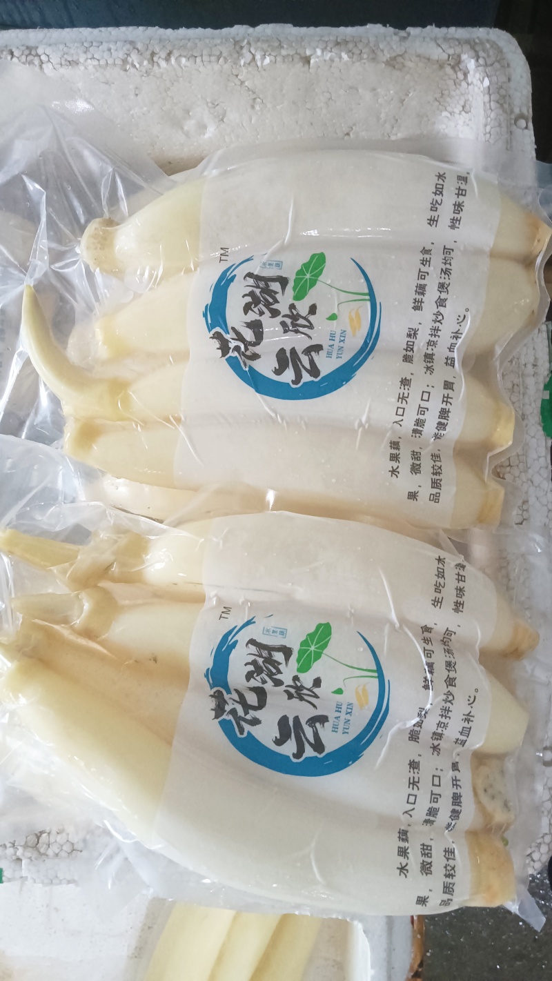 水果藕大量供应，生吃脆甜，入口无渣，当天采摘发货。
