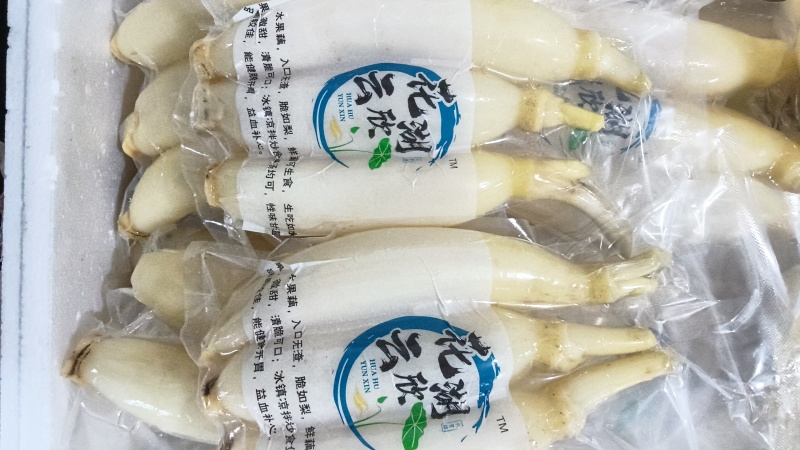 水果藕大量供应，生吃脆甜，入口无渣，当天采摘发货。