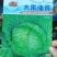 甘蓝种子大果油亮油绿色甜脆薄叶甘蓝品种春夏秋均可种植
