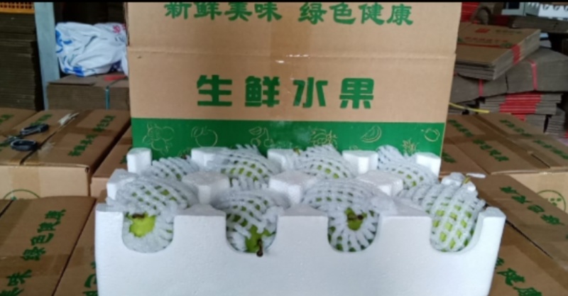 《酥梨》蒲城酥梨，红香酥梨产地批发，供应电商市场