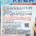 甘蓝种子大果油亮油绿色甜脆薄叶甘蓝品种春夏秋均可种植