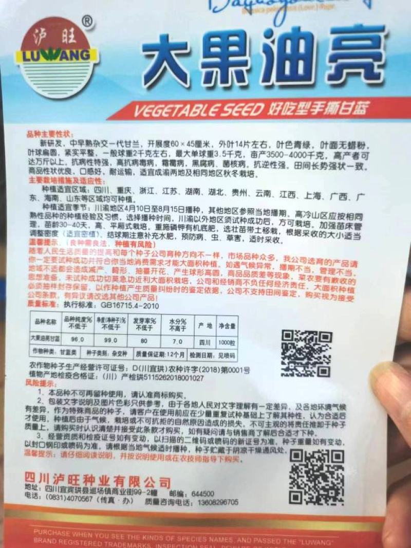 甘蓝种子大果油亮油绿色甜脆薄叶甘蓝品种春夏秋均可种植