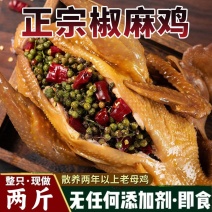 麻椒鸡下酒菜四川特产椒麻鸡整只开袋即食老母鸡熟食特色卤味