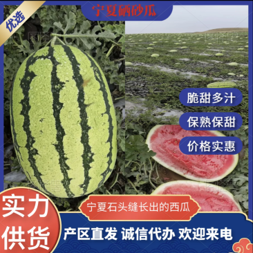 【精品硒砂瓜】宁夏中卫硒砂瓜石头瓜，产区大量现货直发