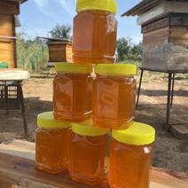 土蜂蜜，中蜂，自己家养的波美度能达到43