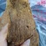 全熟精品五香卤牛肉，加热即食，酒店，社区团购