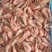 北极甜虾，自助，团购专用！小号腹籽，无黑头