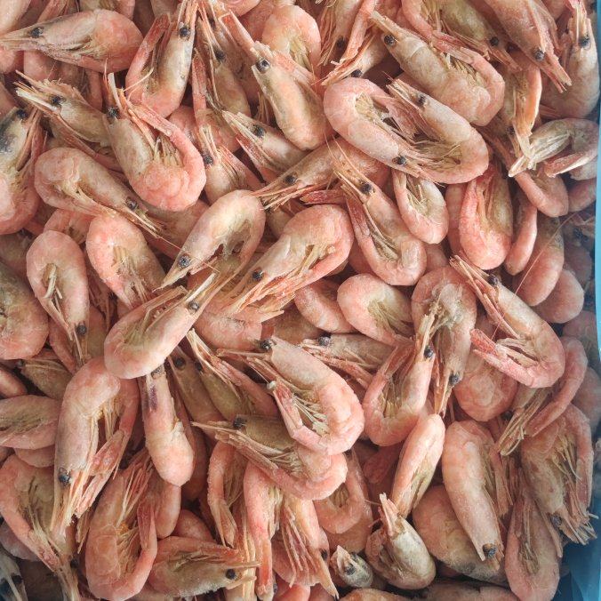 北极虾5kg 野生北極熟甜蝦(5kg) ｜ 大統華超級市場