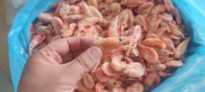 北极甜虾，大号80/100规格残虾，微残，