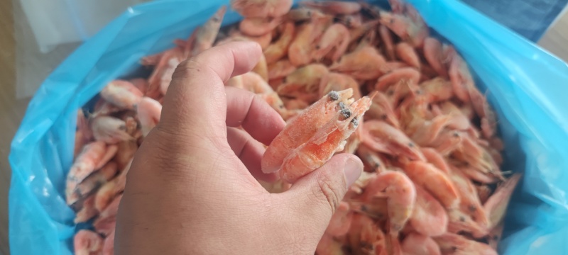 北极甜虾，大号80/100规格残虾，微残，