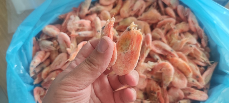 北极甜虾，大号80/100规格残虾，微残，