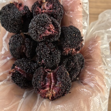 新鲜烘干东魁杨梅干不加糖原味无添加果干零食孕妇果干