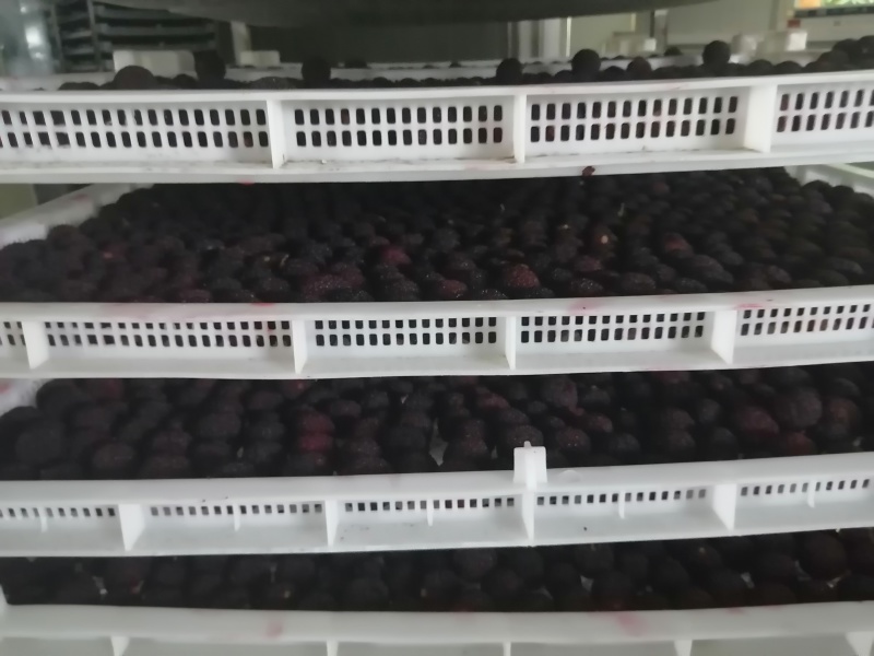 新鲜烘干东魁杨梅干不加糖原味无添加果干零食孕妇果干