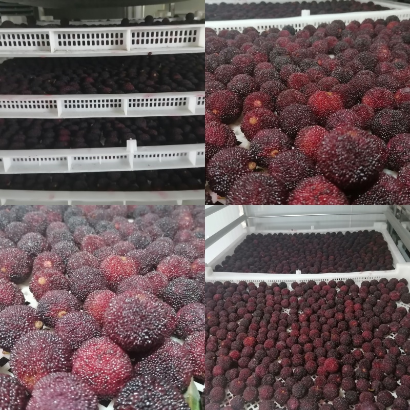 新鲜烘干东魁杨梅干不加糖原味无添加果干零食孕妇果干