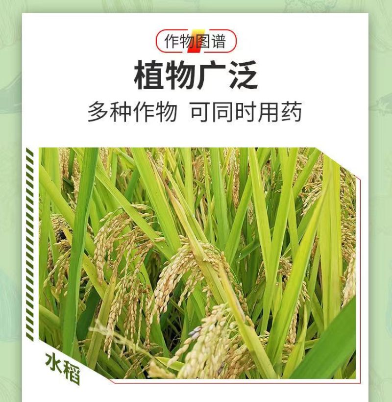 16%甲维茚虫威小菜蛾青虫吊丝虫杀虫剂稻纵卷叶螟肉虫蔬菜