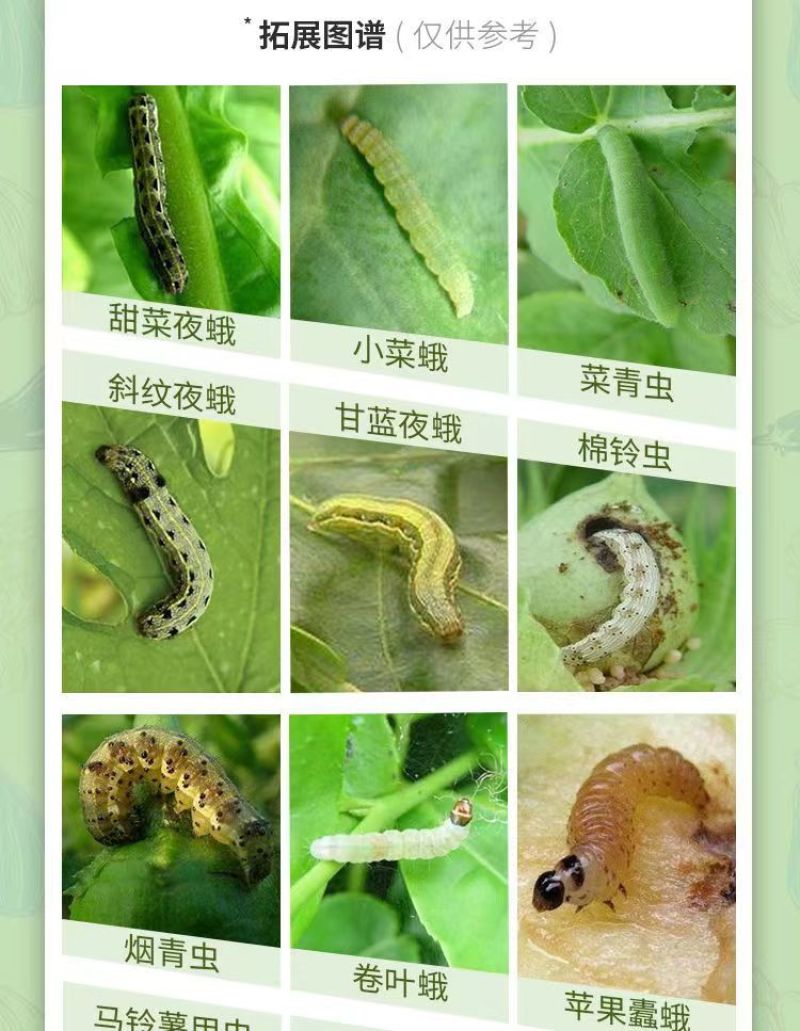 16%甲维茚虫威小菜蛾青虫吊丝虫杀虫剂稻纵卷叶螟肉虫蔬菜