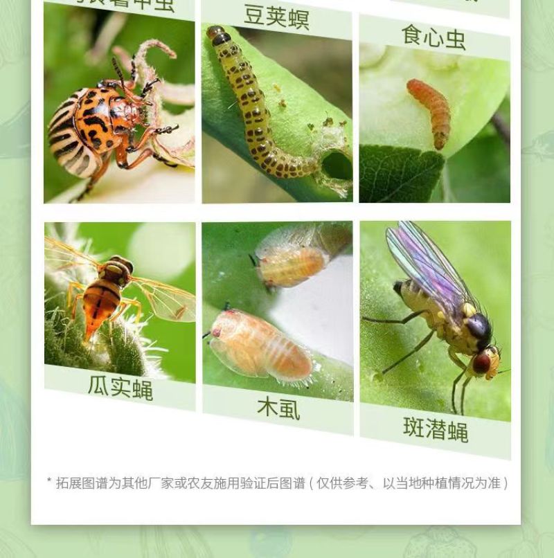 16%甲维茚虫威小菜蛾青虫吊丝虫杀虫剂稻纵卷叶螟肉虫蔬菜