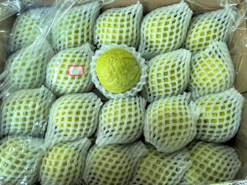 番石榴，红心芭乐，白心芭乐，奶油芭乐，水果，热带水果