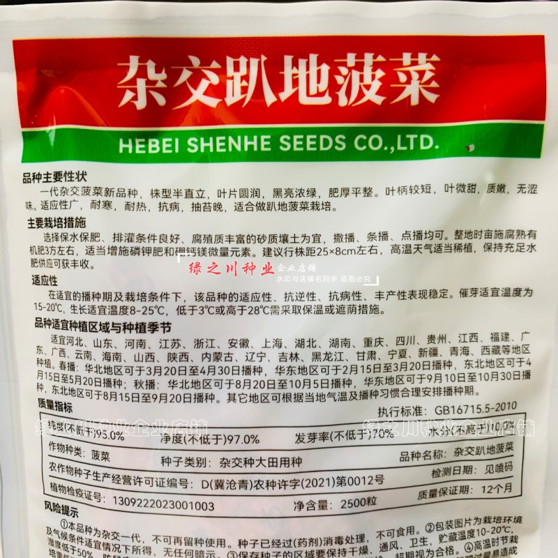 杂交趴地菠菜种子黑亮浓绿半直立菠菜种籽耐寒耐热春秋蔬菜籽
