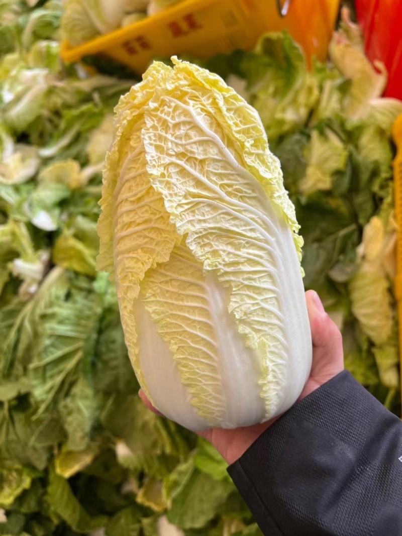 湖北娃娃菜，大量供应，规格齐全，产地直发，长期合作。