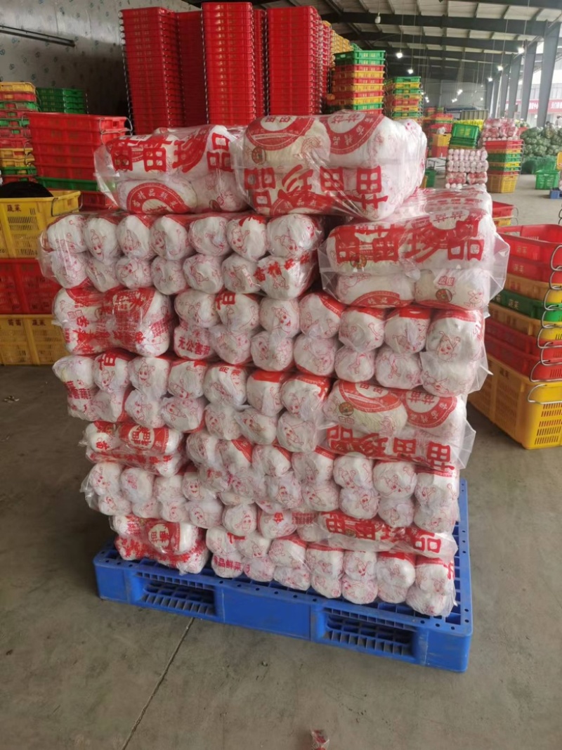 湖北娃娃菜，大量供应，规格齐全，产地直发，长期合作。